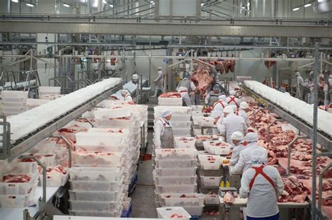 are we exporting pork to china